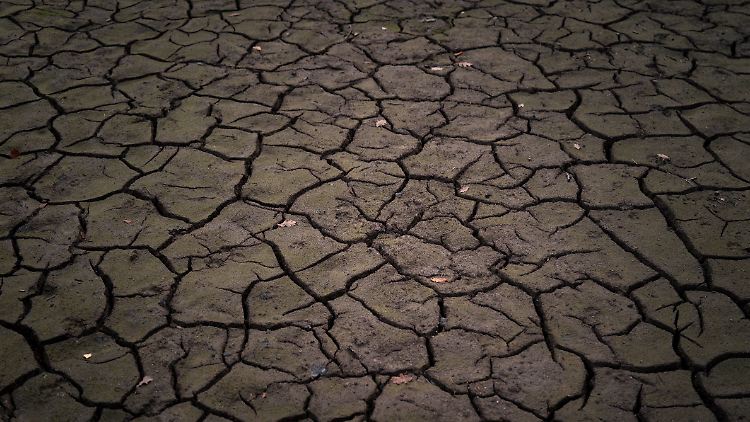 Wegen der Erderwärmung gibt es in vielen Regionen häufiger und öfter extremes Wetter: Hitzewellen, Dürren, Stürme und Überflutungen. 