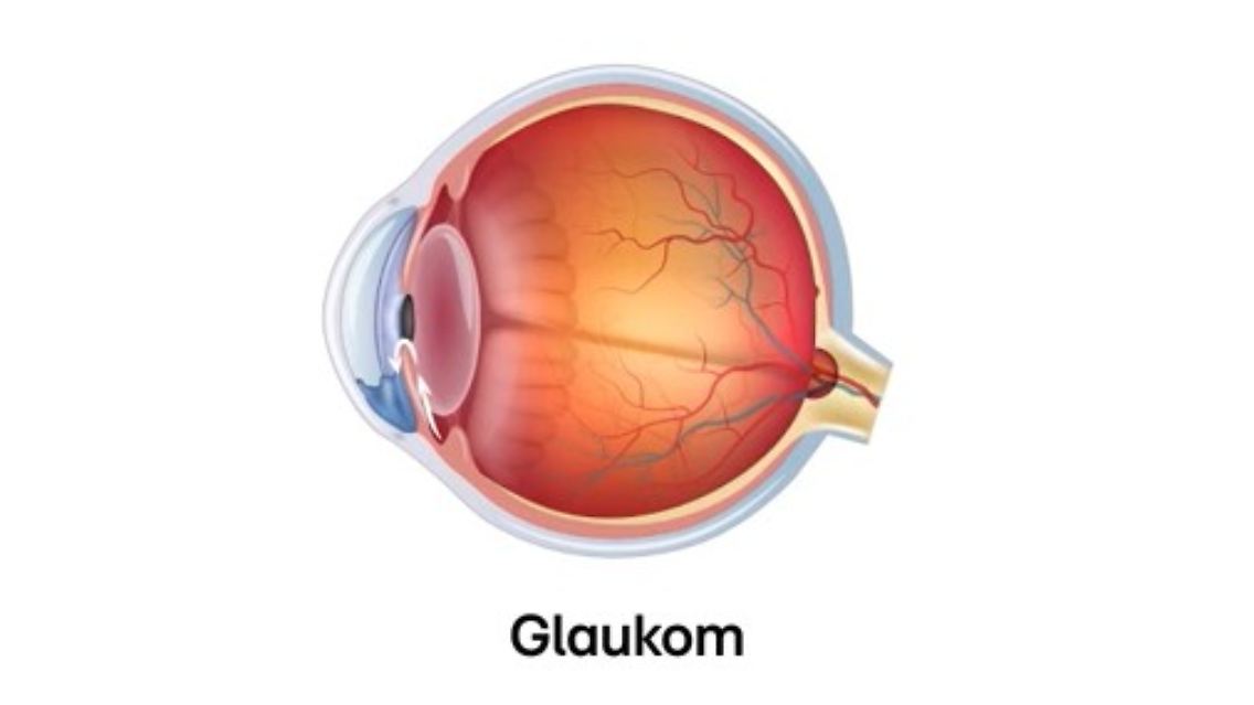 auge_Screenshot 2025-11-04 153654.jpg