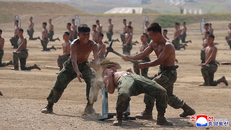 Ukrainische Truppen beschreiben die Nordkoreaner als wilde Kämpfer. 