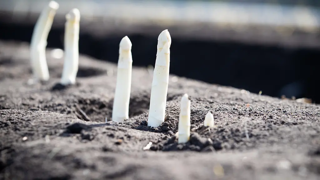 5cd87a7bb2757c81d49b37f294009a8f