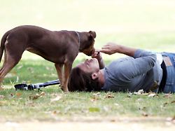 "Zweite Chance" für tote Hündin: Tom Brady behauptet: "Teil unserer Familie" ist ein Klon