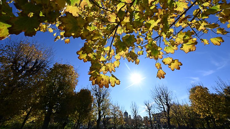 Anders als die Blätter fielen im vergangenen Oktober die Temperaturen nicht im Jahresvergleich.