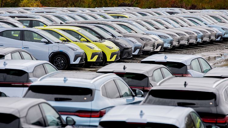 Die Entwicklung zeige, dass Diskussionen um das sogenannte Verbrennerverbot nicht in die Zeit passten, so Dudenhöffer.