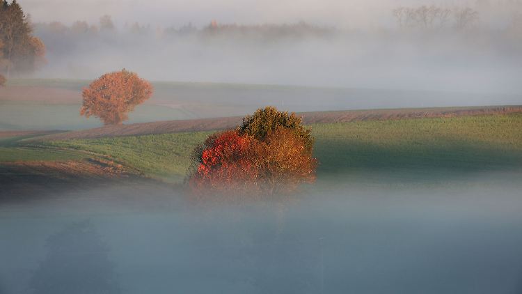 Am Mittwoch wird es nach Auflösung von Nebelfeldern verbreitet freundlich.