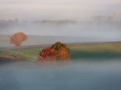 Die Wetterwoche im Schnellcheck: Nach trübem Start kratzt das Thermometer an der 20-Grad-Marke