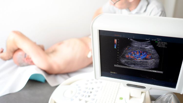 Untersuchung der Niere mit einem Ultraschallgerät. 