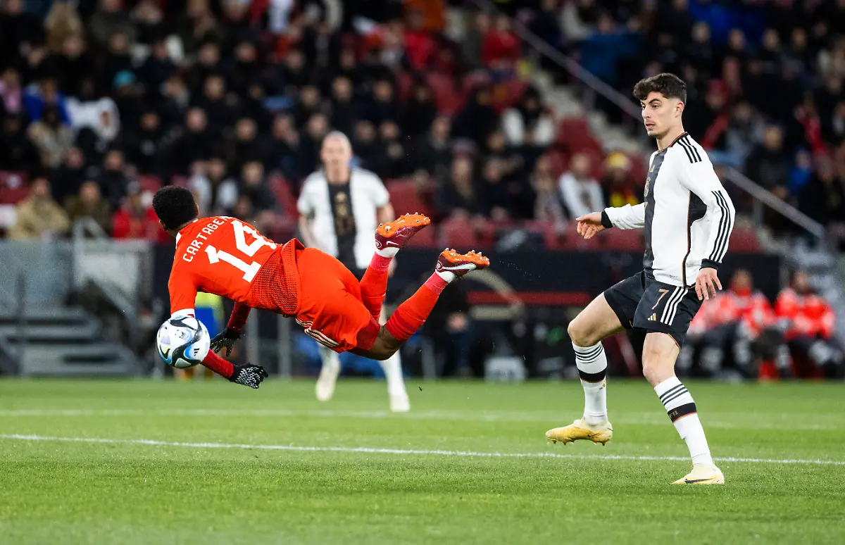 4feac35b3f841d02365a362876d0880c