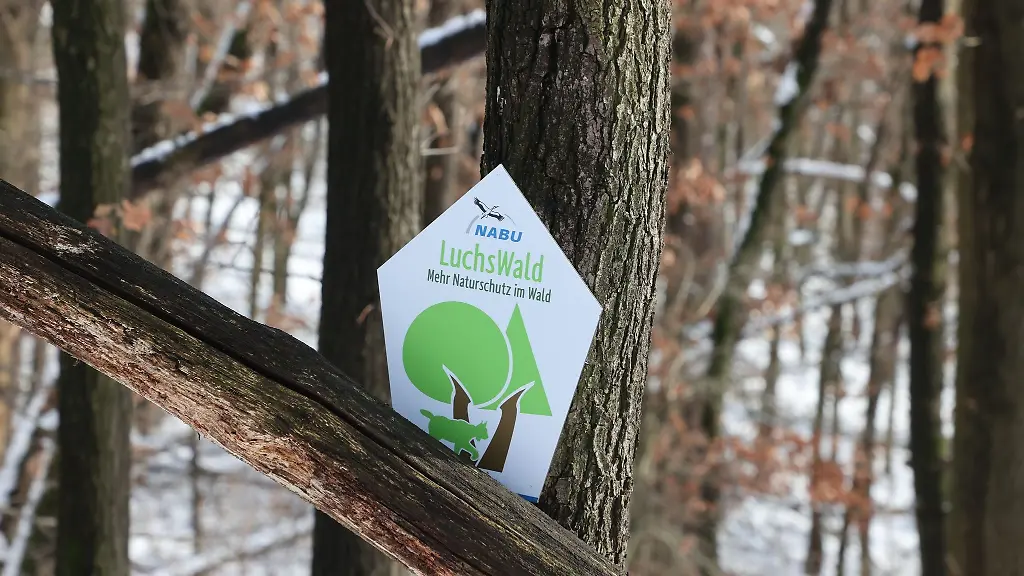 Ein-Hinweisschild-auf-den-Luchswald-haengt-an-einem-Baum-im-Dorlewald