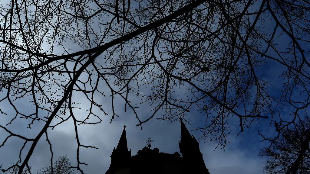 Die-Silhouette-des-Wuerzburger-Doms