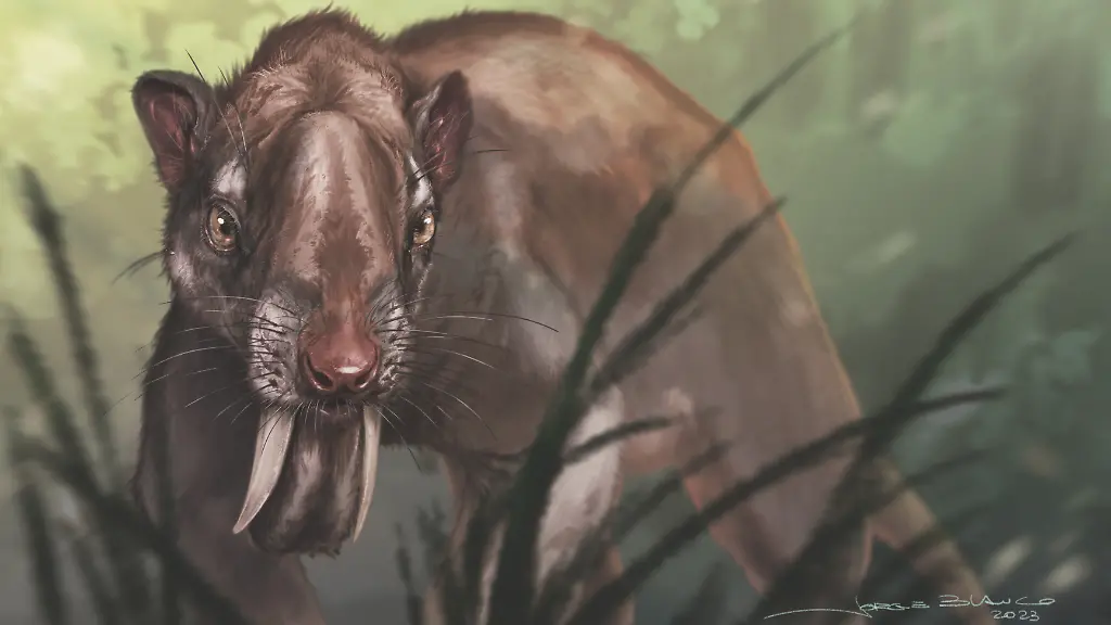 ACHTUNG-Nur-im-Zusammenhang-mit-der-aktuellen-Berichterstattung