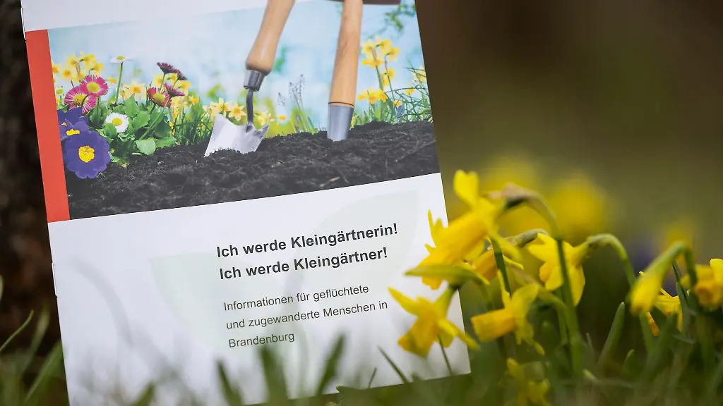 Eine-Broschuere-mit-dem-deutschen-Schriftzug-Ich-werde-Kleingaertnerin-Ich-werde-Kleingaertner