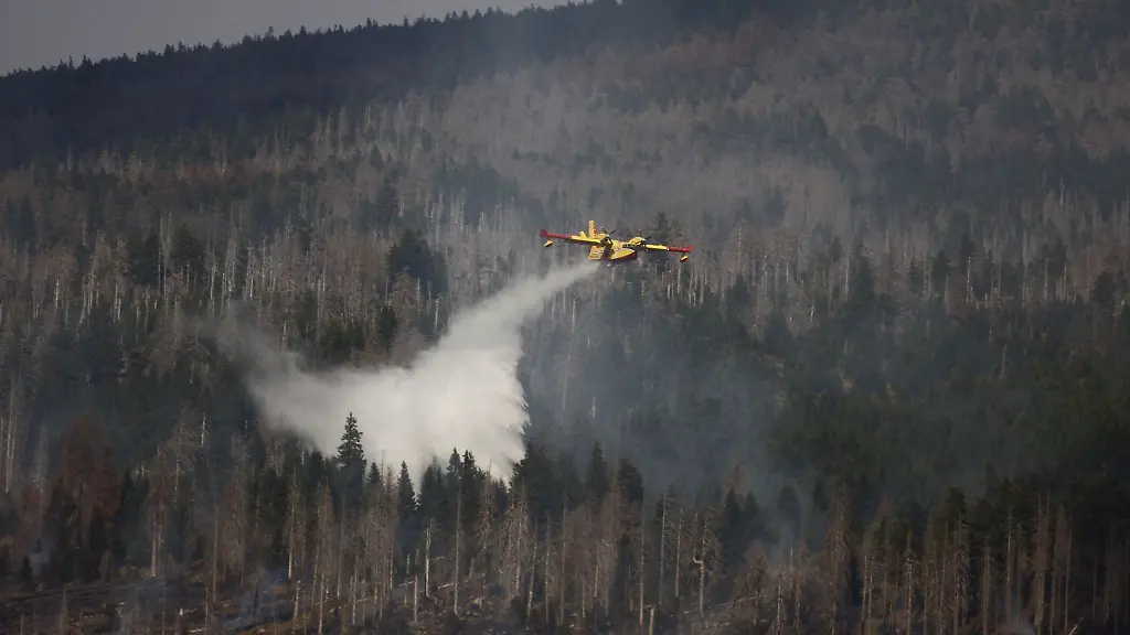 Ein-Loeschflugzeug-bekaempft-einen-Waldbrand-aus-der-Luft
