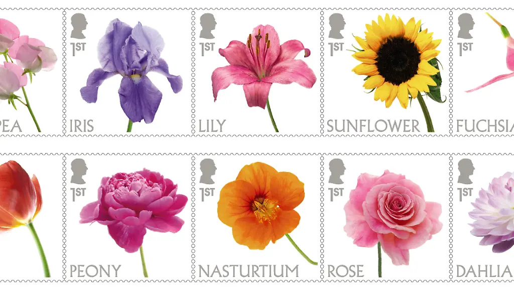 2e878e018777809b74a3b71e622d0a8c