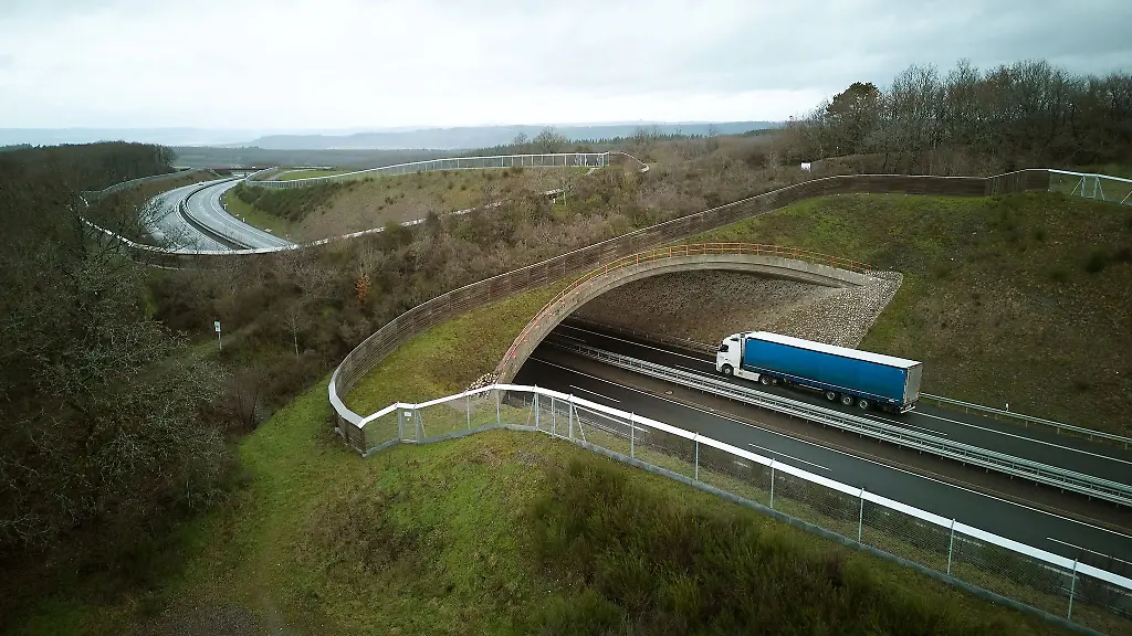 Eine-Wildbruecke-ermoeglicht-Tieren-die-Bundesstrasse-50-bei-Bernkastel-Kues-zu-ueberqueren