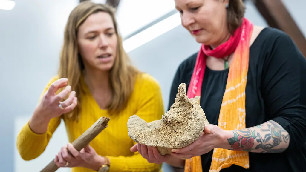 d674c616b8db46a246c1f6a627000832