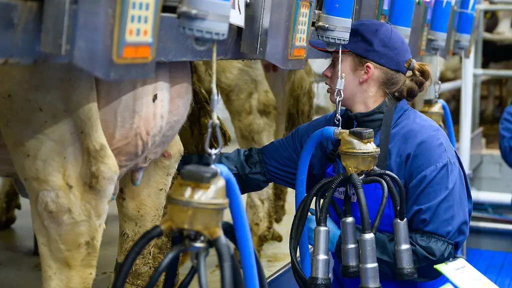 Thome-Maren-Feenders-nimmt-am-Landesmelkwettbewerb-teil