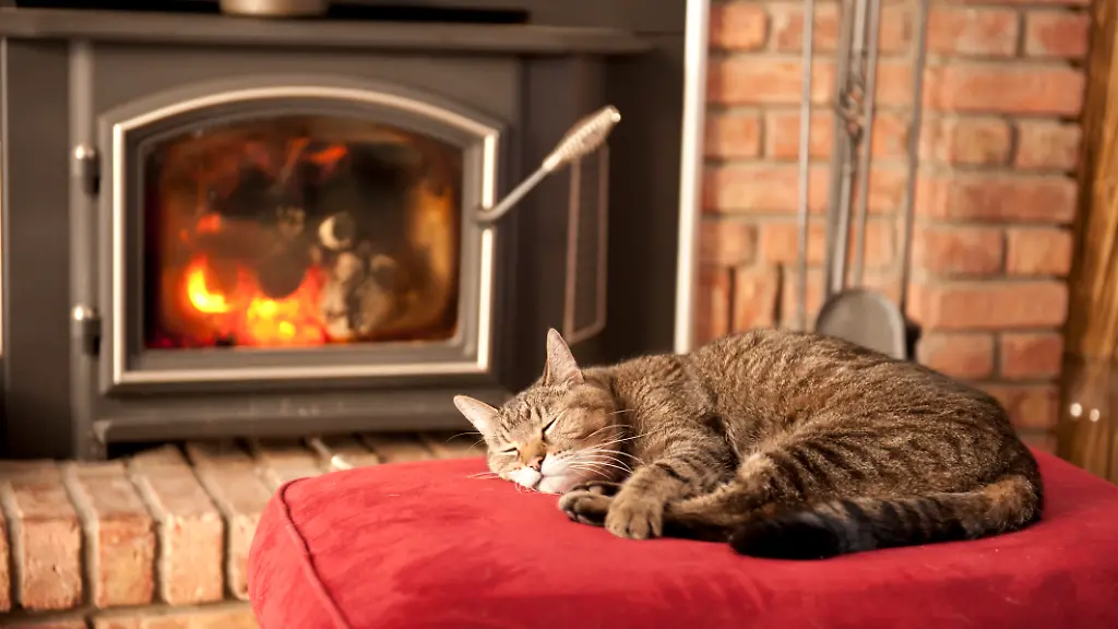 Bei-Hagebau-gibt-es-bis-zum-11-Maerz-noch-100-Euro-Rabatt-auf-Kaminoefen-ab-800-Euro