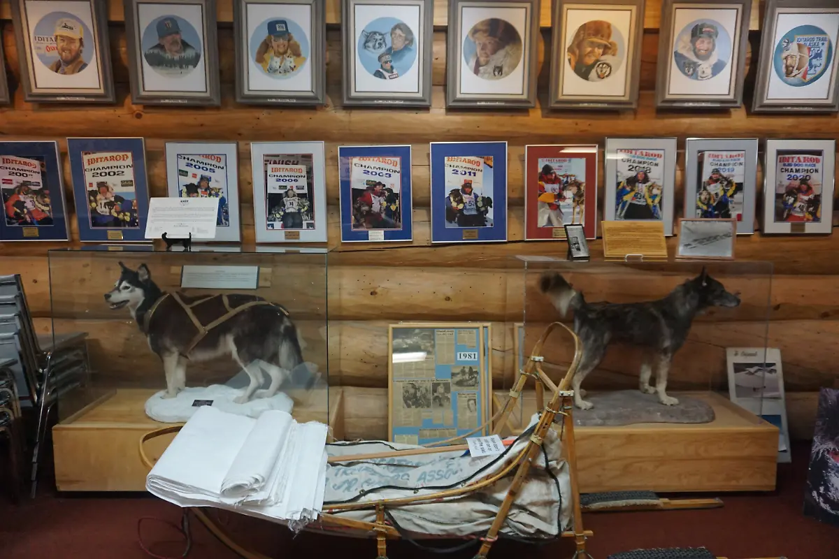 2022-03-04T110019Z-2125851925-RC22RS90T5A9-RTRMADP-3-USA-IDITAROD