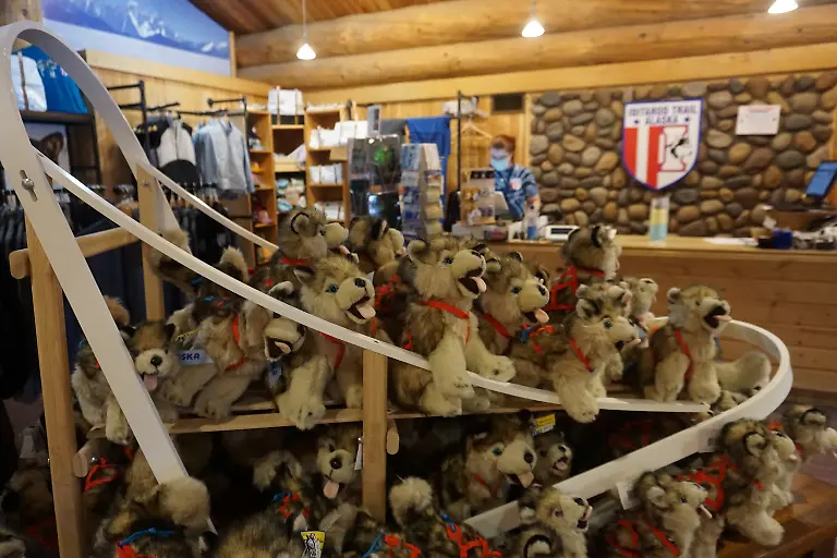 2022-03-04T110017Z-623997472-RC21RS9SL0PA-RTRMADP-3-USA-IDITAROD