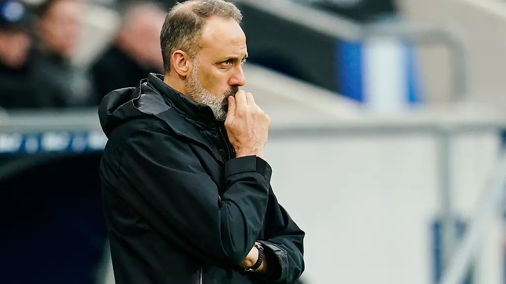 Hoffenheims-Trainer-Pellegrino-Matarazzo-steht-am-Spielfeld