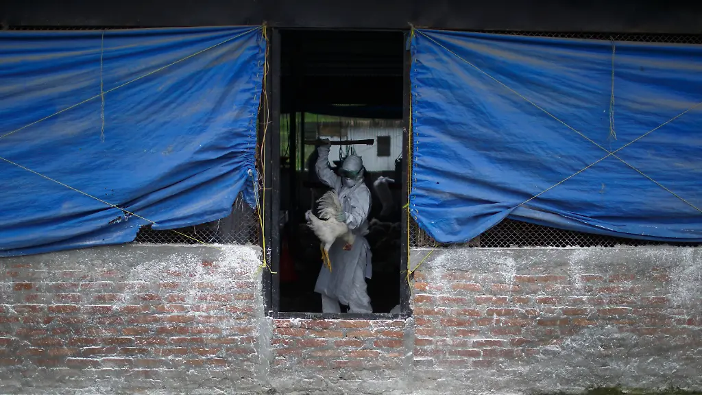 2013-08-02T120000Z-985055135-GM1E98214OV01-RTRMADP-3-NEPAL