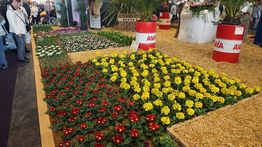 Besucher-sind-nach-der-Eroeffnung-der-Ostseemesse-in-der-Blumenschau-unterwegs