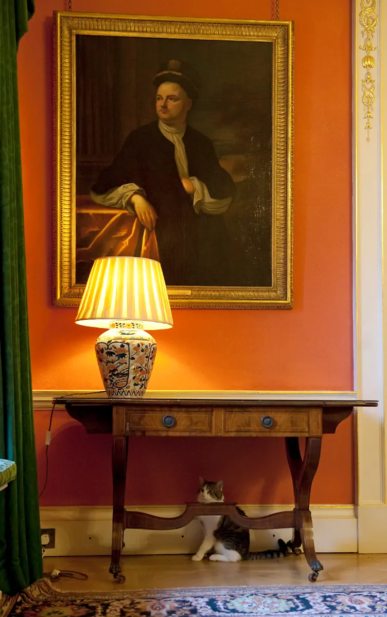 58-2011-02-15T120000Z-1960724057-GM1E72G05MF01-RTRMADP-3-BRITAIN-CAMERON-CAT