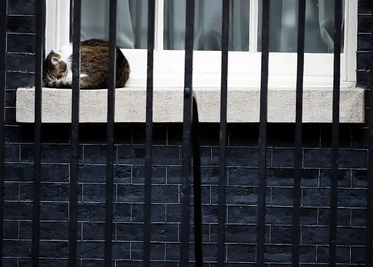 37-2017-06-27T095233Z-609485631-RC12ED9821A0-RTRMADP-3-BRITAIN-POLITICS