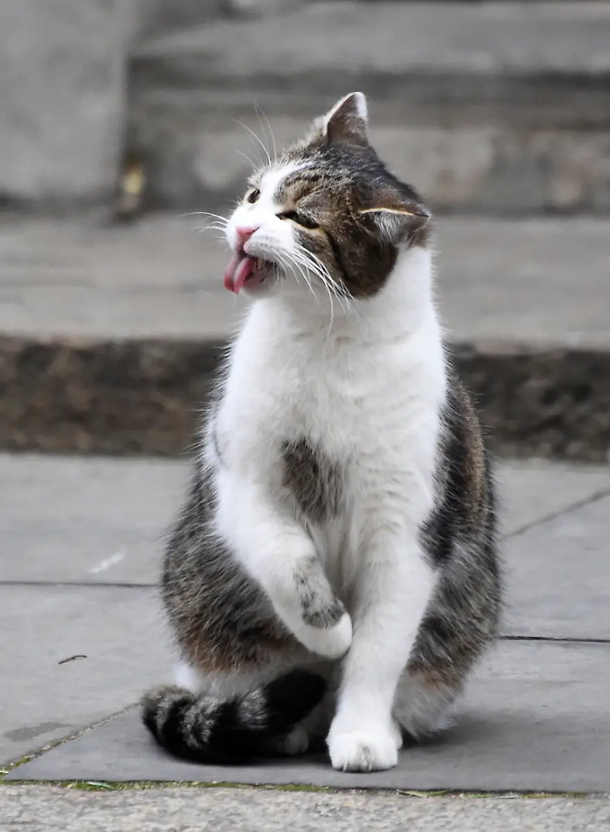 36-2019-01-15T112246Z-1602817857-RC1FACD8B490-RTRMADP-3-BRITAIN-EU-CABINET