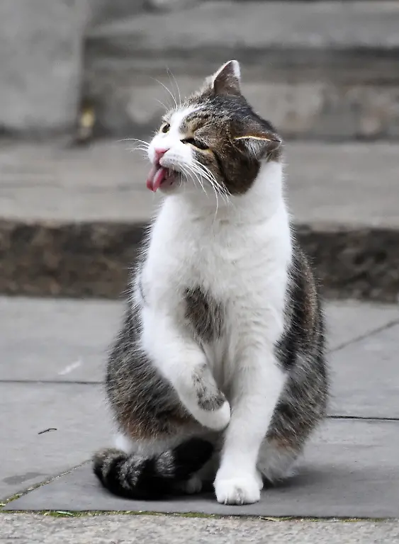 36-2019-01-15T112246Z-1602817857-RC1FACD8B490-RTRMADP-3-BRITAIN-EU-CABINET