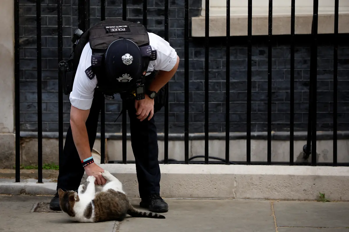 40-2022-07-06T065034Z-167357273-RC266V9XPBD5-RTRMADP-3-BRITAIN-POLITICS