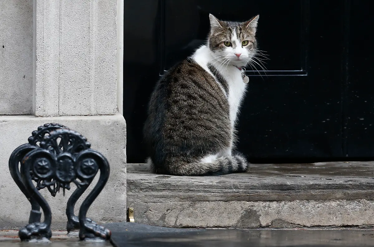 32-2013-03-01T000000Z-601089793-LM1E93113FA01-RTRMADP-3-BRITAIN