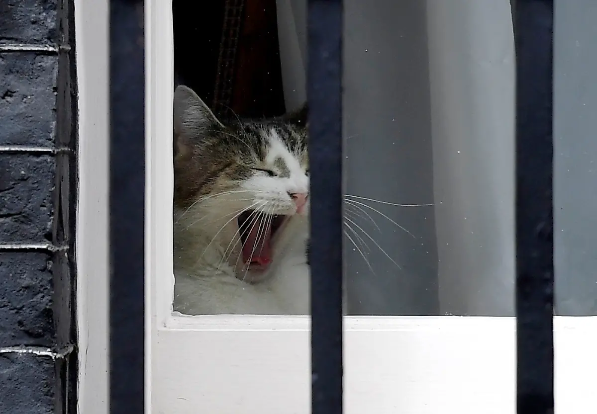 34-2018-06-20T135945Z-1004170596-RC19EFB87C30-RTRMADP-3-BRITAIN-EU