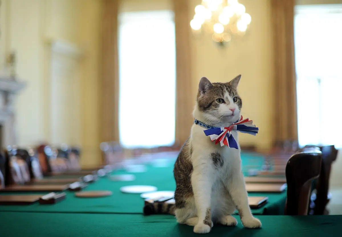 13-2011-04-28T120000Z-589320754-LM1E74S18DK01-RTRMADP-3-BRITAIN-WEDDING