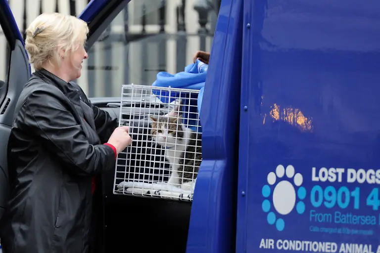 12-2011-02-15T120000Z-1368380438-LM1E72F12ZQ01-RTRMADP-3-BRITAIN-CAMERON-CAT