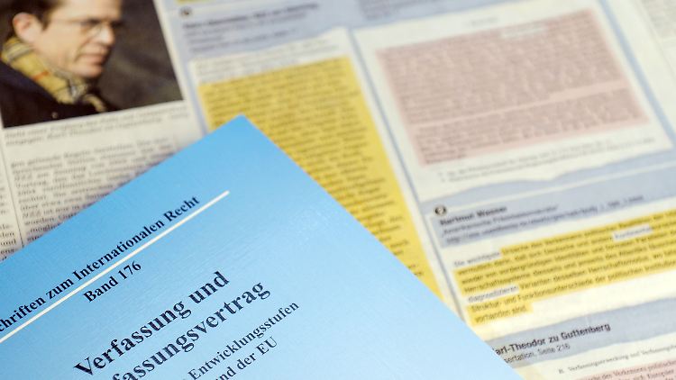 Hat der Verteidigungsminister ganze Passagen ohne Quellenangabe einfach übernommen?