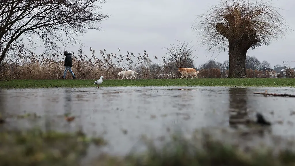 Ein-Mann-geht-mit-seinen-Hunden-an-der-Aussenalster-spazieren