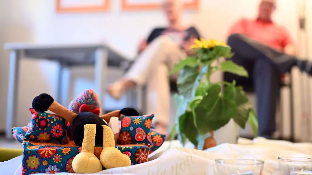 Beim-Treffen-einer-Selbsthilfegruppe-stehen-ein-Plueschtier-und-eine-Sonnenblume-auf-dem-Boden