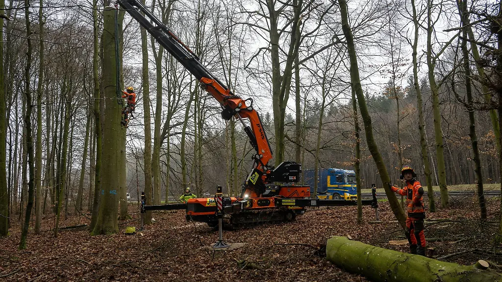 Neben-der-Autobahn-faellen-Fortsarbeiter-einen-Baum