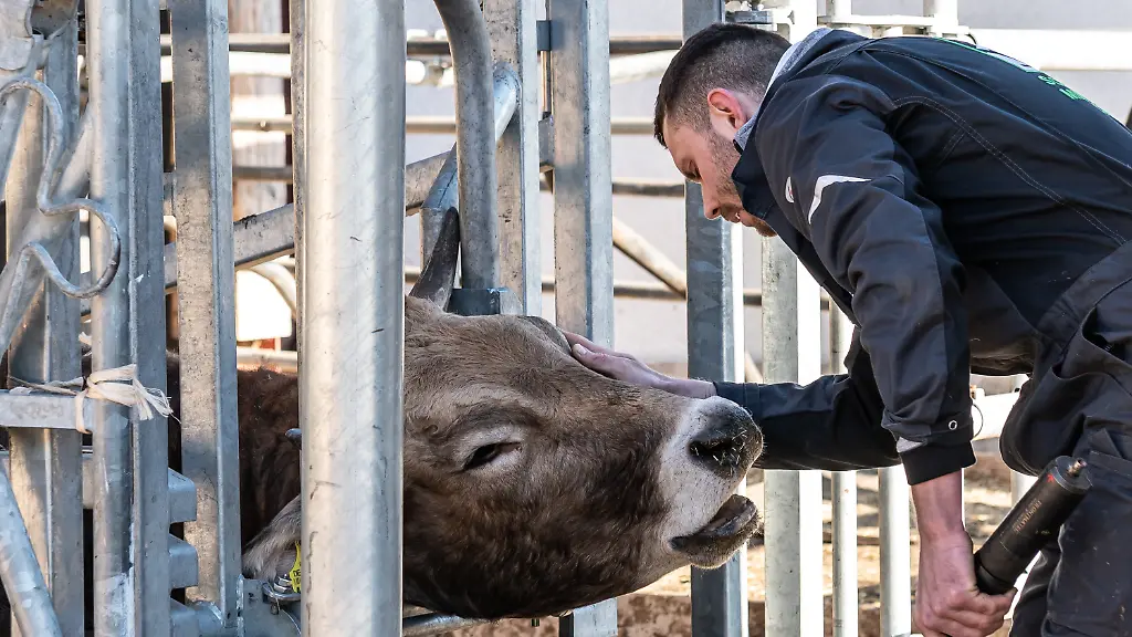 2dd2617ef456b6fcd98c317761efac99