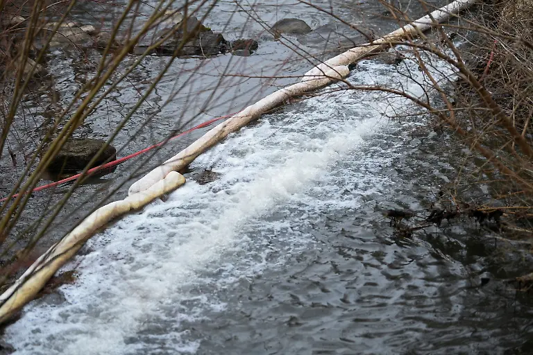 9204869a7573351d7509ec9a52832eae