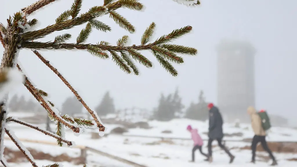 Blick-durch-Fichtenzweige-auf-die-Wetterwarte-auf-dem-Brocken