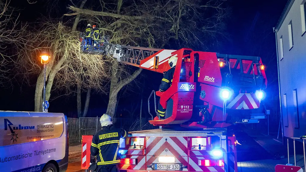 Die-Berufsfeuerwehr-Stralsund-holt-einen-abgebrochenen-Ast-von-einem-Baum-in-einem-Park