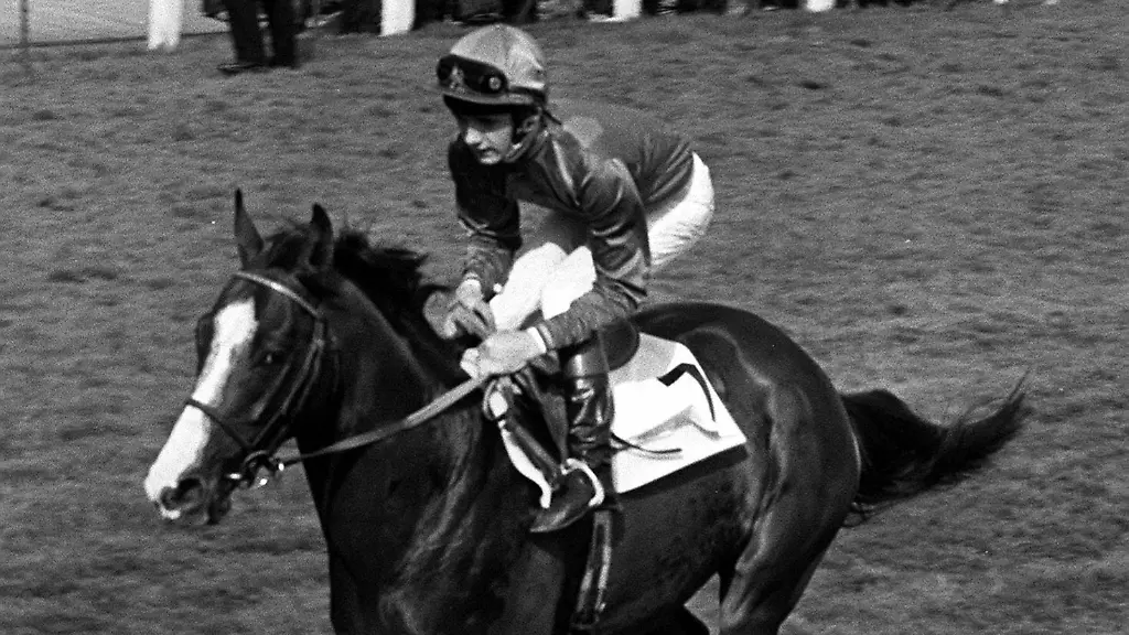 05a41ca3d90334338944f92c0f1d630d