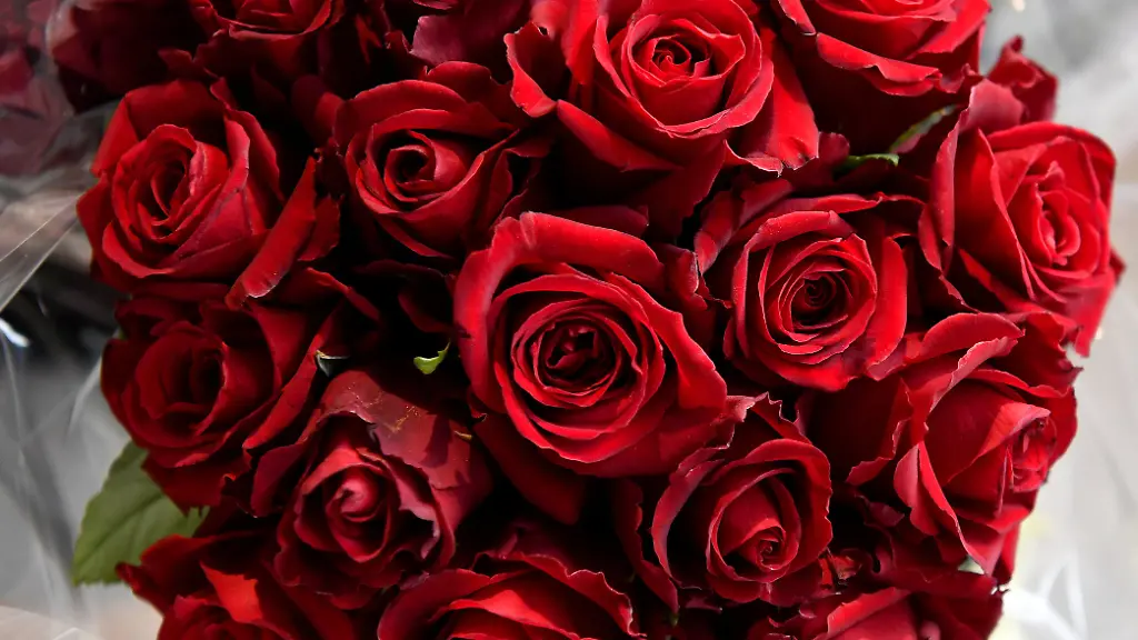 23842ddd0c707c81c16150eadd266803