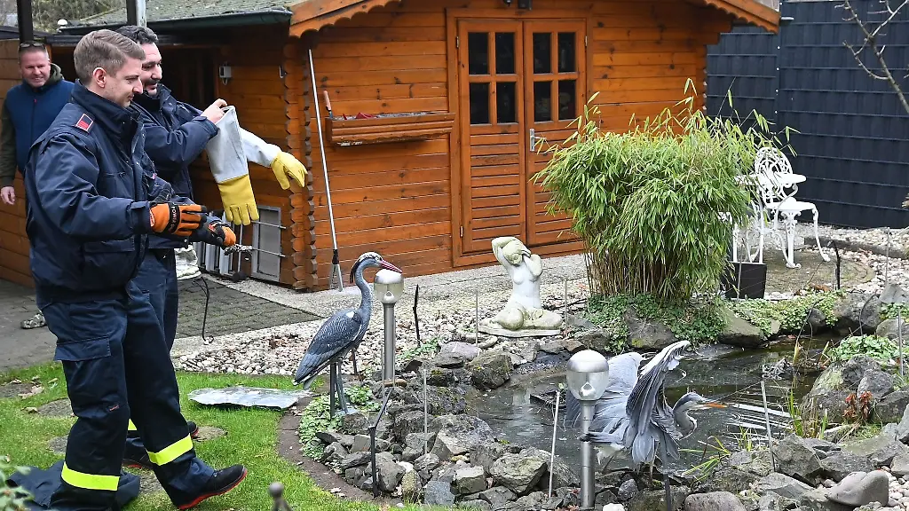 Einsatzkraefte-der-Freiwilligen-Feuerwehr-Dorsten-versuchen-einen-Fischreiher-zu-befreien
