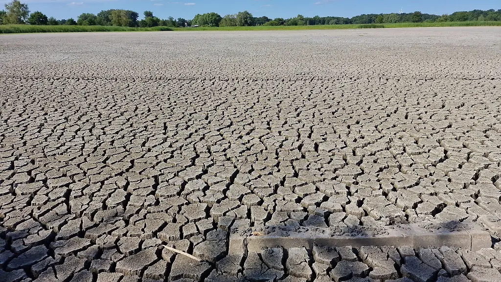 Als-Folge-der-Klimakrise-trocknen-ganze-Teiche-in-Brandenburg-aus