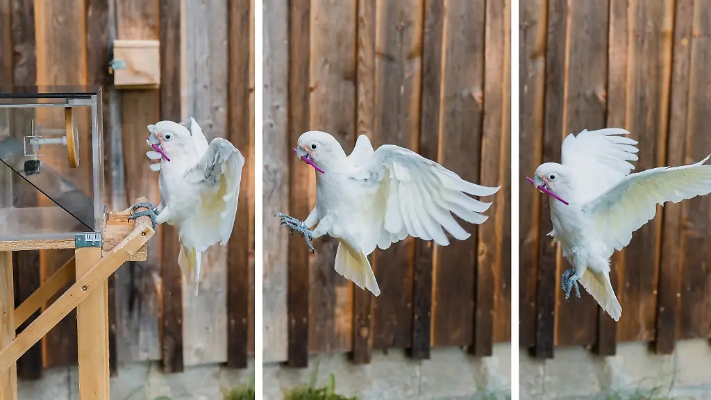 urn-binary-dpa-com-20090101-230209-911-012542-FILED