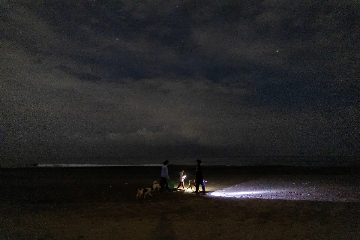 2023-02-06T231227Z-155564942-RC2TNY9XNCEP-RTRMADP-3-PHILIPPINES-ENVIRONMENT-TURTLES