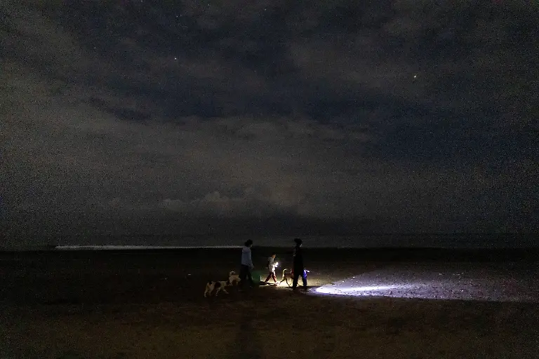 2023-02-06T231227Z-155564942-RC2TNY9XNCEP-RTRMADP-3-PHILIPPINES-ENVIRONMENT-TURTLES